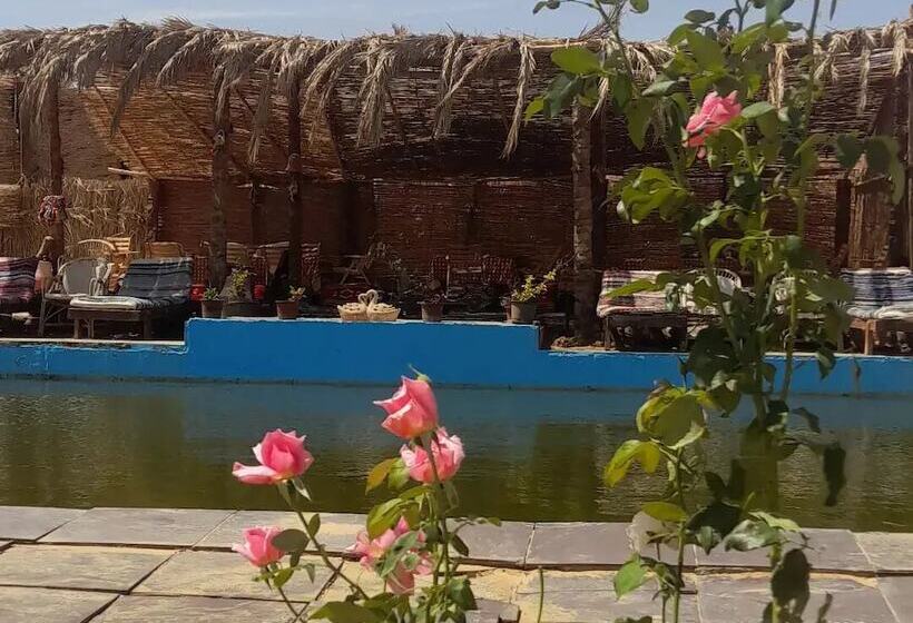 هتل Stars Camp Oasis