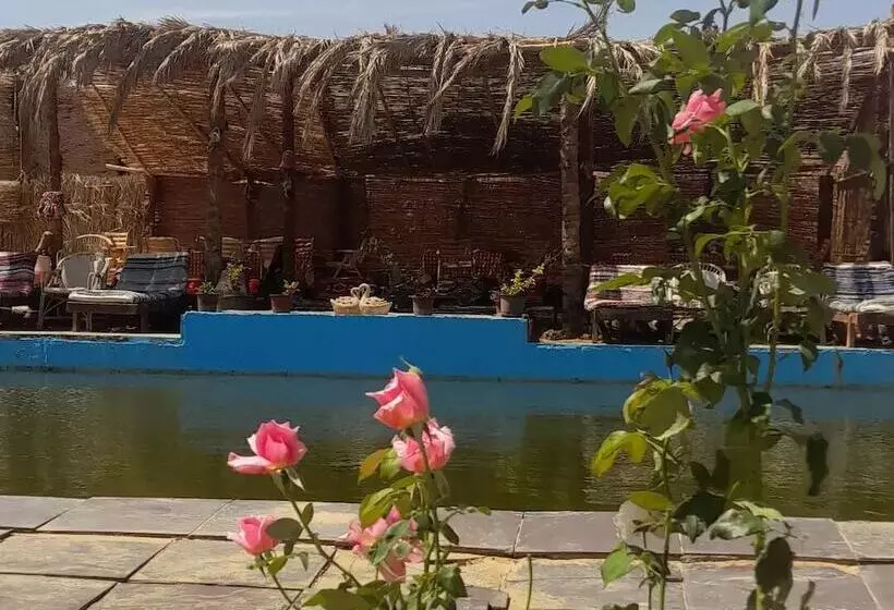 هتل Stars Camp Oasis