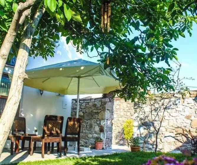 ホテル Tetka Konuk Evi