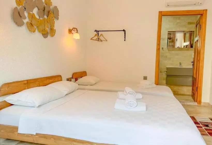 ホテル Tetka Konuk Evi