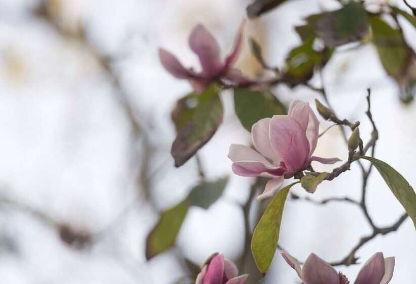 Alberta Bed And Breakfast