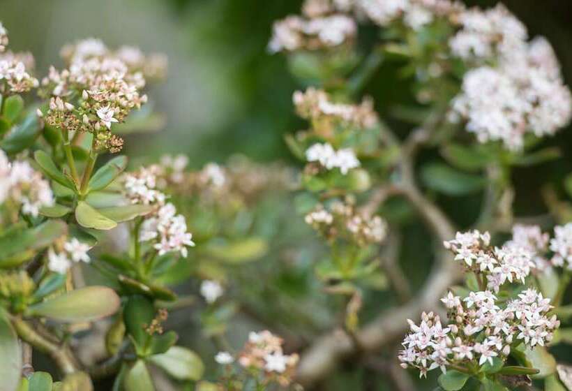 Alberta Bed And Breakfast