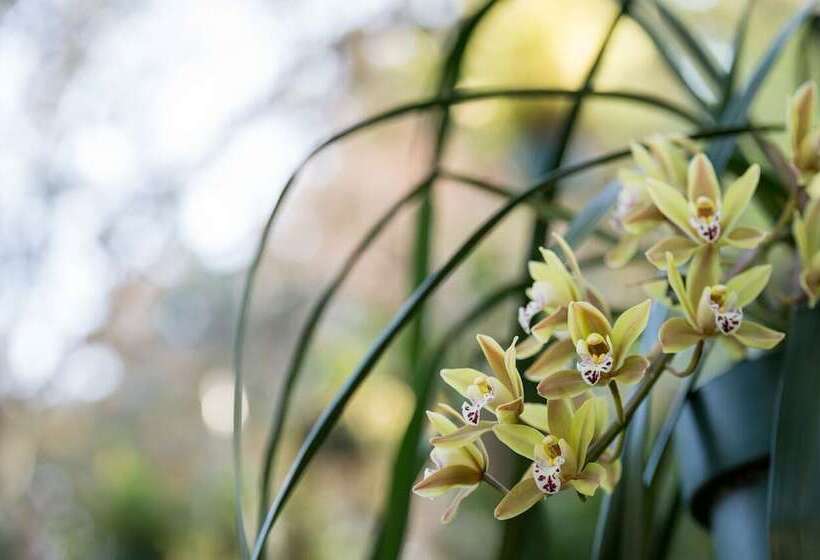 Alberta Bed And Breakfast