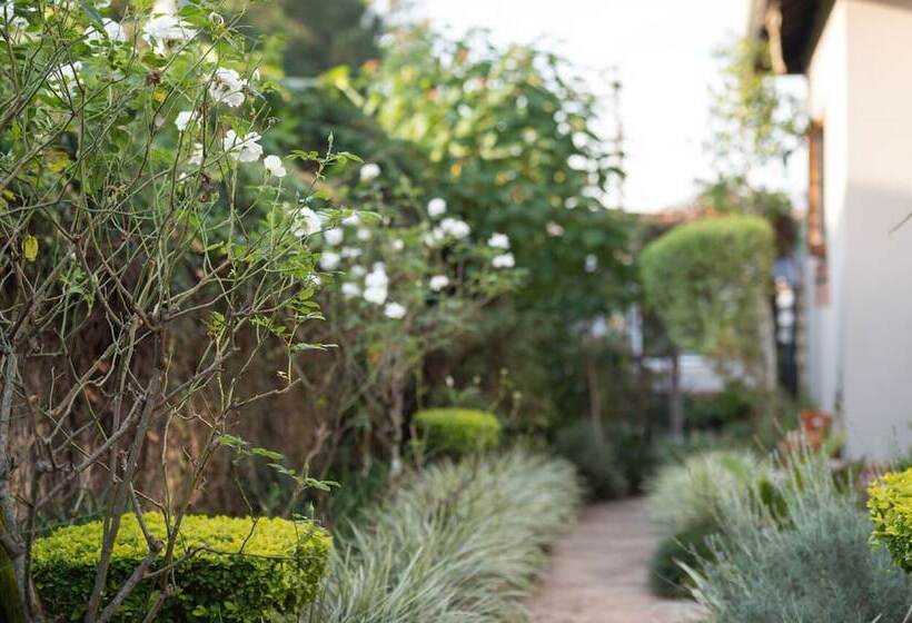 Alberta Bed And Breakfast