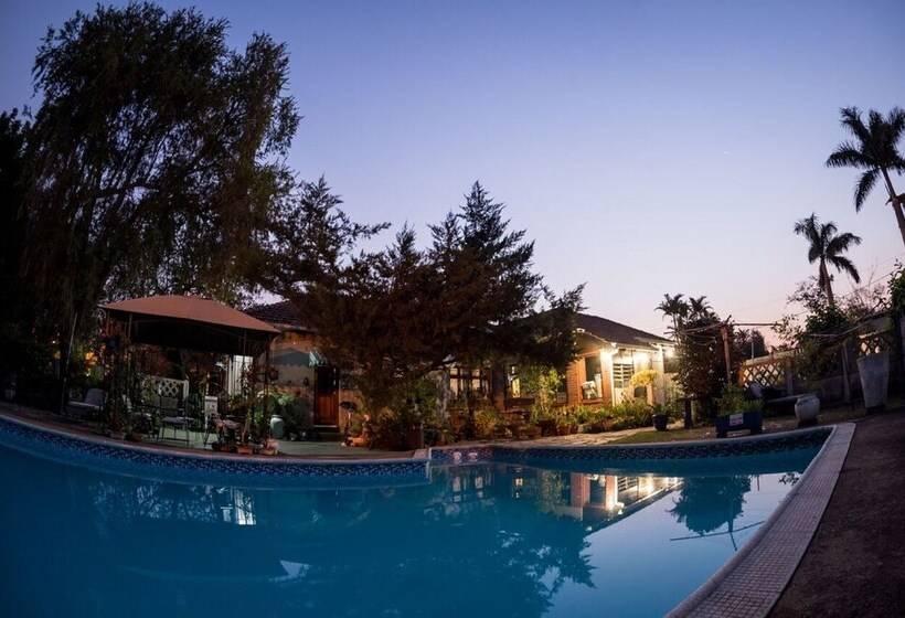 Alberta Bed And Breakfast