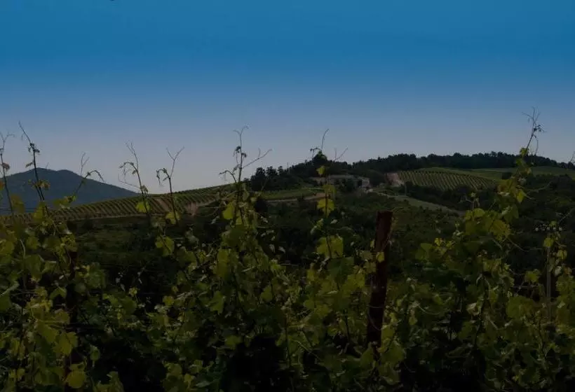 B&b Cascina Santa Gavi