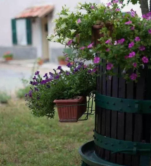 B&b Cascina Santa Gavi