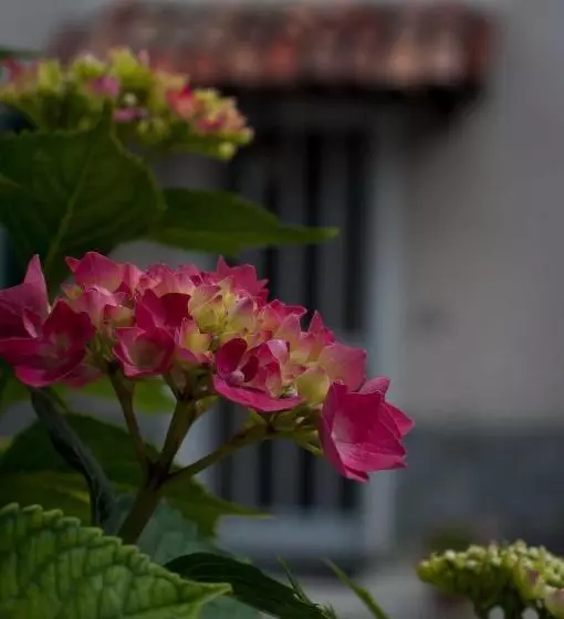 B&b Cascina Santa Gavi