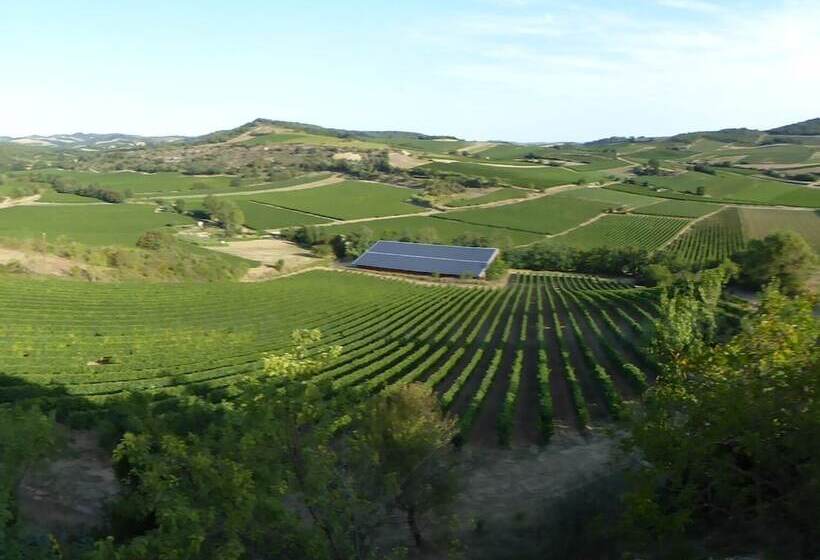 Bed and Breakfast Au Pied Du Figuier