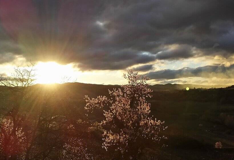 Bed and Breakfast Au Pied Du Figuier