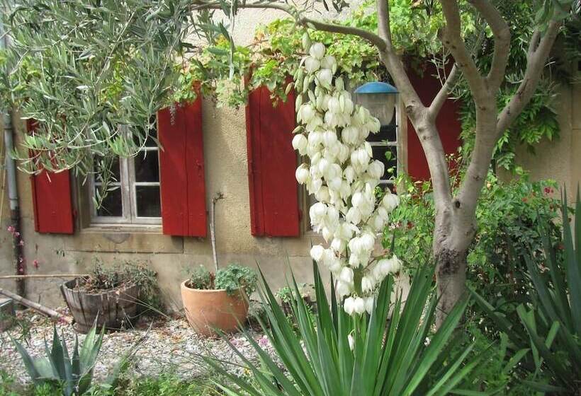 Bed and Breakfast Au Pied Du Figuier