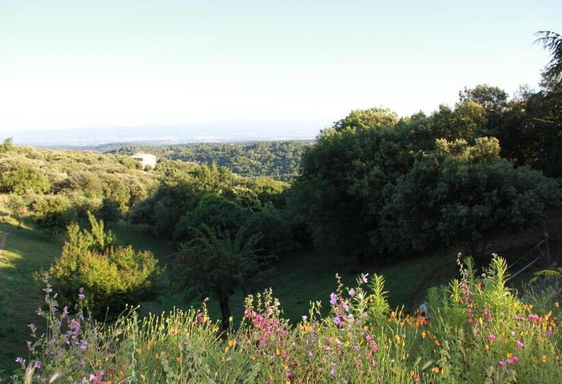住宿加早餐  Chambres D'hôtes Vue Panoramique Proche De Carcassonne