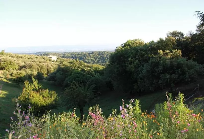 ベッドアンドブレックファースト Chambres D'hôtes Vue Panoramique Proche De Carcassonne