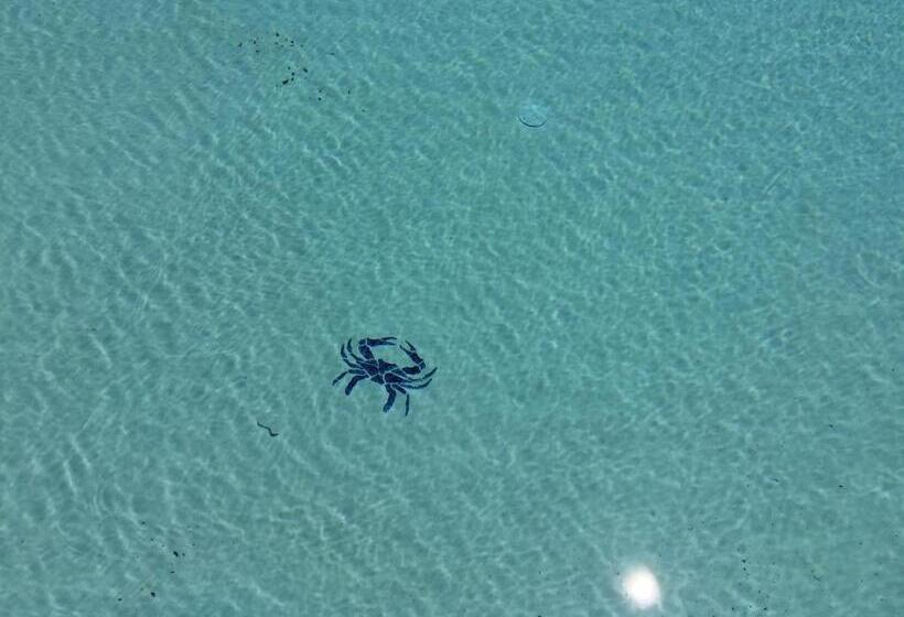 בית מלון כפרי Anchored Inn At Hidden Harbor