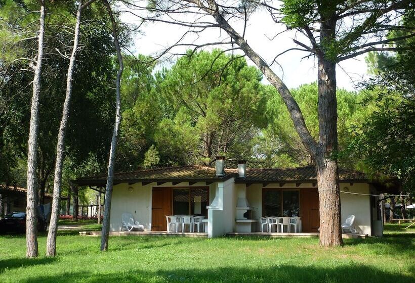 בית מלון כפרי Belvedere Pineta Camping