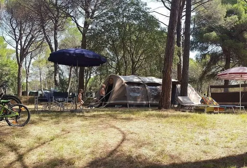 ホテル Belvedere Pineta Camping