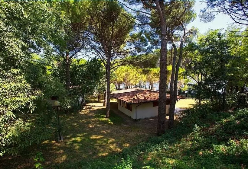 ホテル Belvedere Pineta Camping