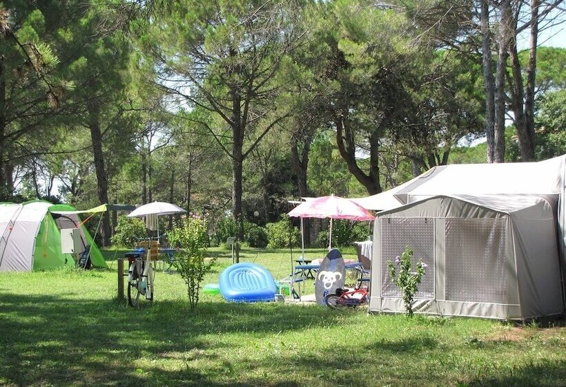 בית מלון כפרי Belvedere Pineta Camping