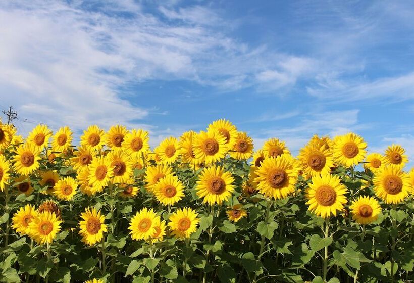 فندق Satoyama Auberge & Hot Spring Wellness Spa Sakuragaike Kurgarden