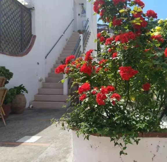 La Marocella