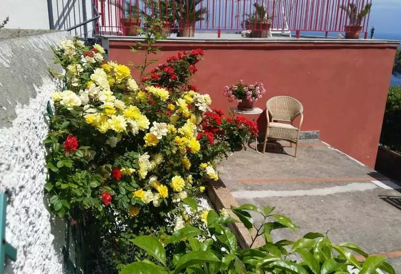 La Marocella