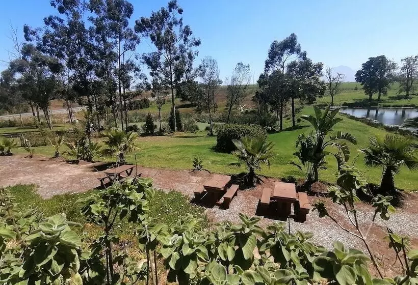 ペンション Ibis Place Guest House