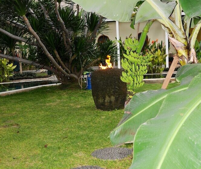 Pansiyon Villa Costa Plenty