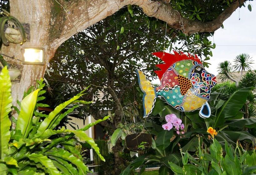 Pansiyon Villa Costa Plenty