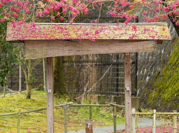 료칸 Gokurakuji Onsen Arcadia Village