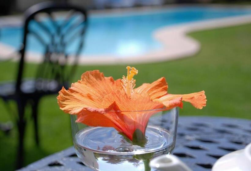 مبيت وإفطار Mandalay Guest House Plettenberg Bay