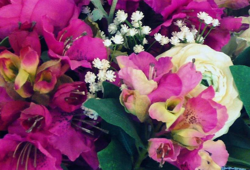 Отель Albergo Ariston