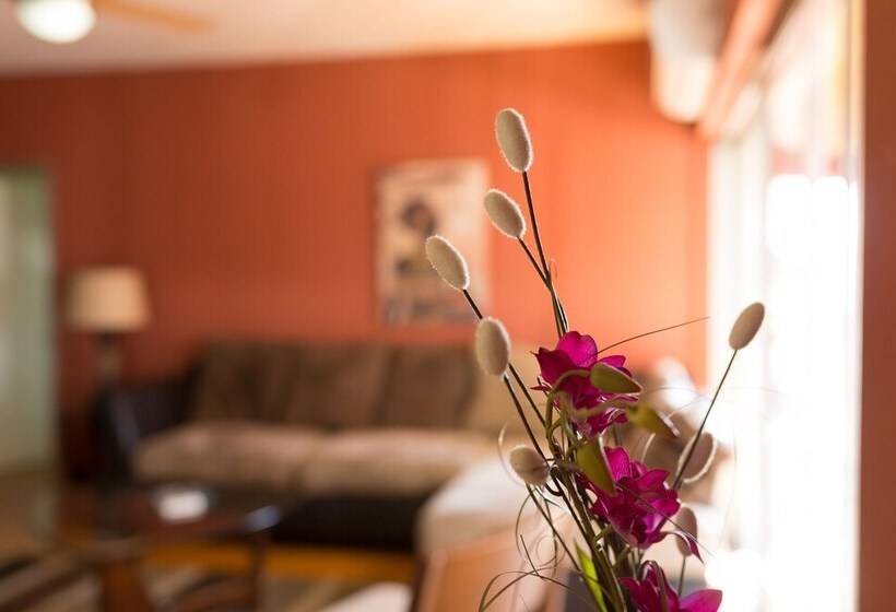 New Kingston Guest Apartments At Abbey