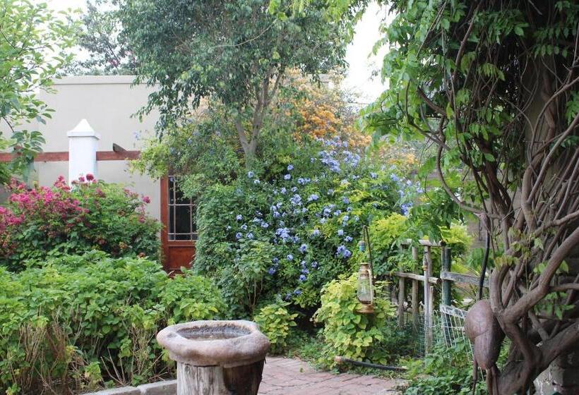 بنسيون Villa Reinet Guest House