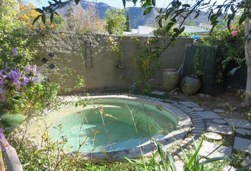 بنسيون Villa Reinet Guest House