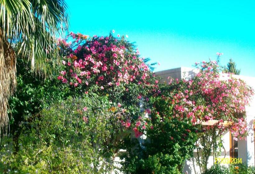 بنسيون Villa Reinet Guest House