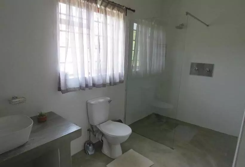 Sandy's Place