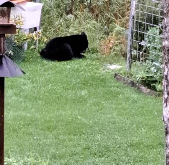 Southern Bluff Bed & Breakfast