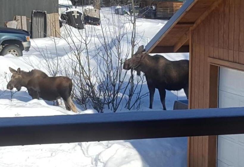 Southern Bluff Bed & Breakfast