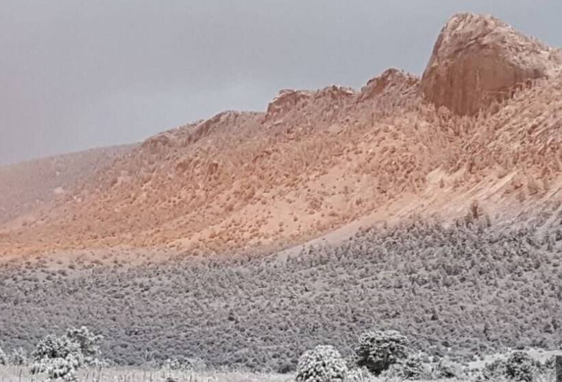住宿加早餐 Casa Del Gavilan Historic Inn
