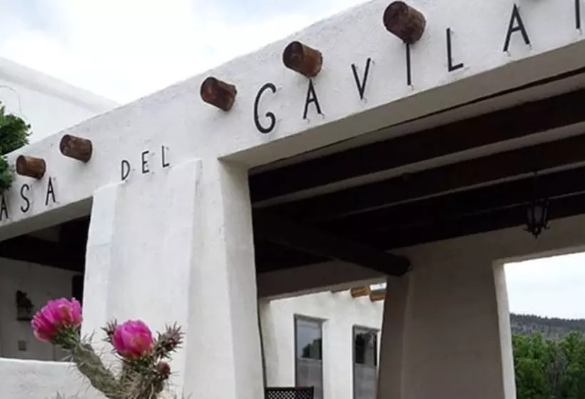 ベッドアンドブレックファースト Casa Del Gavilan Historic Inn
