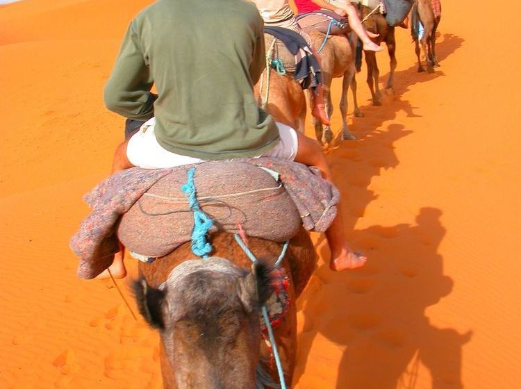 فندق فئة نجمة واحدة Auberge Africa