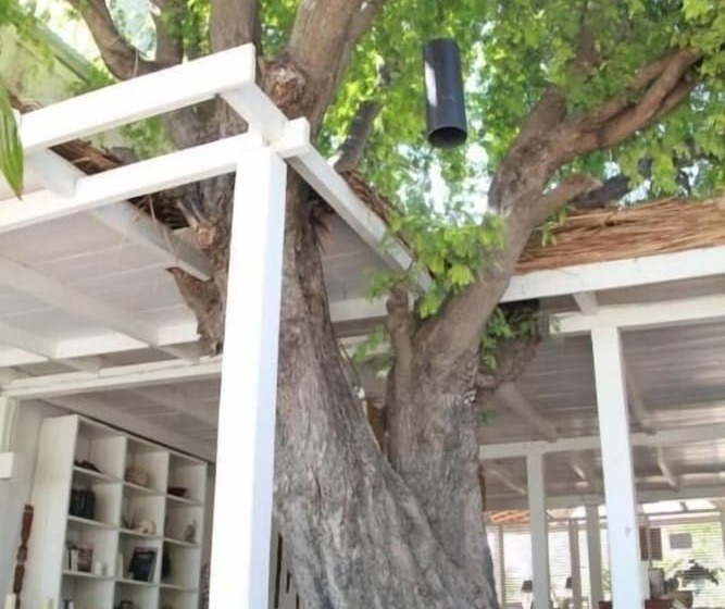 هتل Princesse Du Lagon