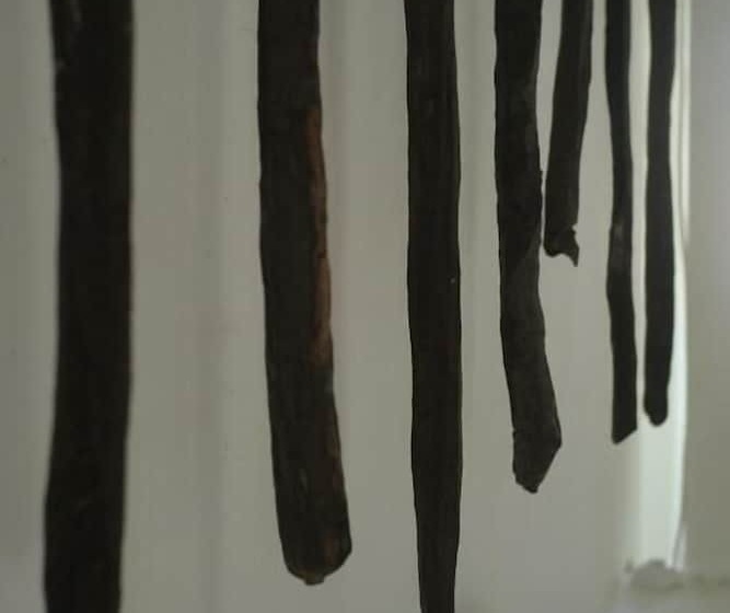 هتل Princesse Du Lagon