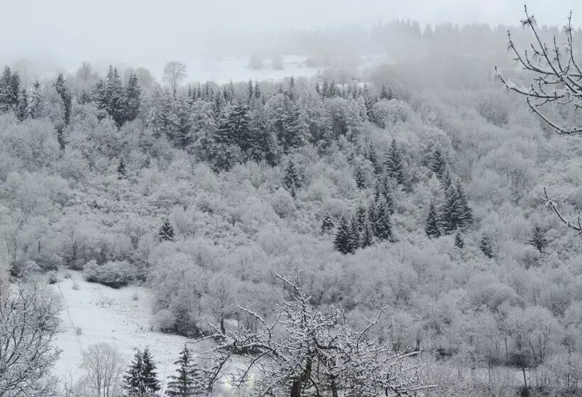 Hotelli Restaurant Du Plomb Du Cantal