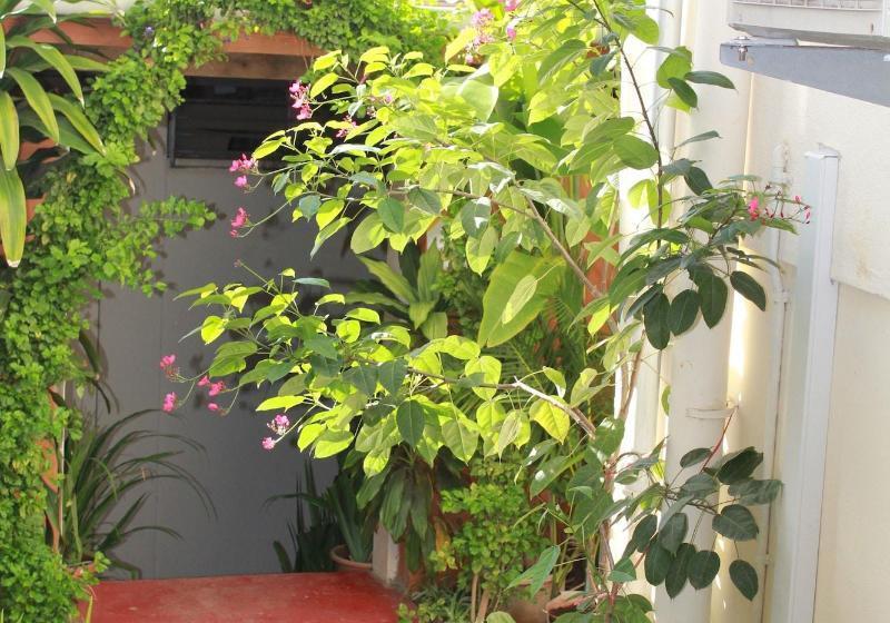 Pacific Paradise Motel