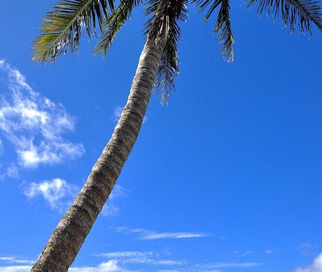 استراحتگاه Manea On Muri