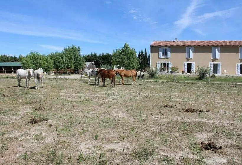ベッドアンドブレックファースト La Sarriette Chambres D Hôtes Et Gîte D étape à Eygalières
