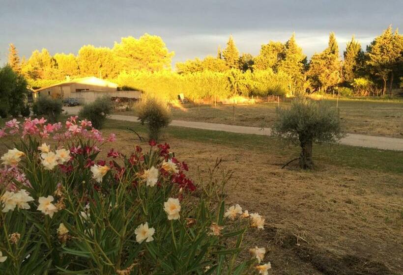 住宿加早餐  La Sarriette   Chambres D Hôtes Et Gîte D étape à Eygalières