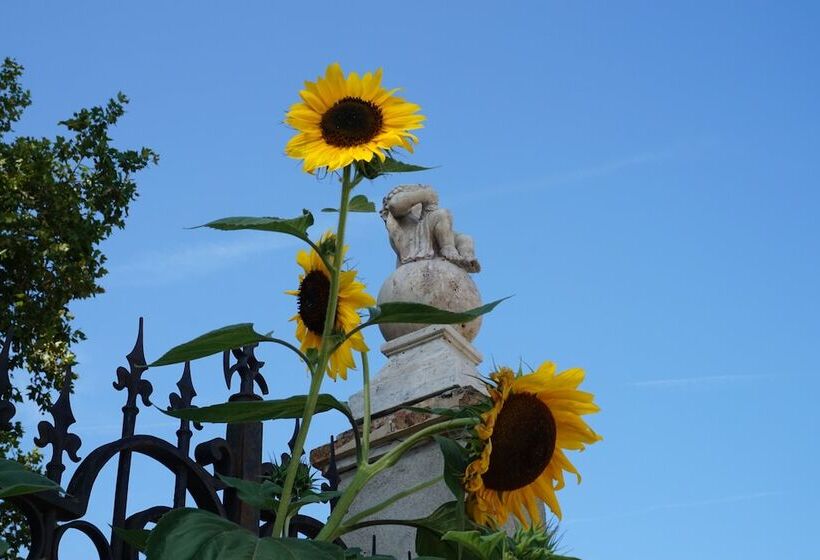 ベッドアンドブレックファースト Le Clos Des Troubadours