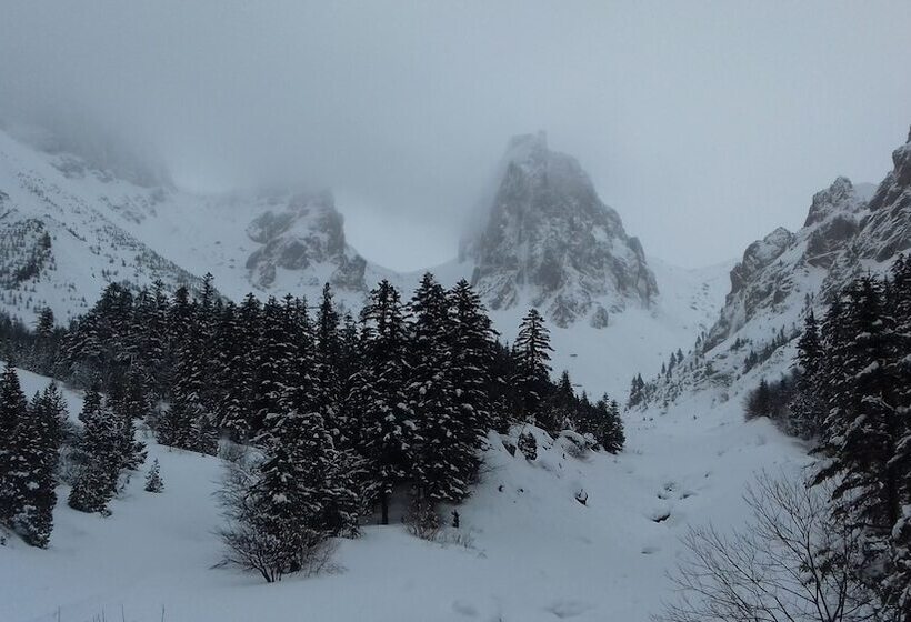 Bed and Breakfast L Acacia